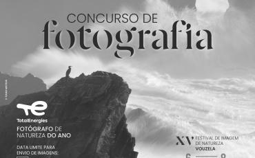 Insitu abre concurso “TotalEnergies – Fotógrafo de Natureza do Ano” com três novas categorias e prémios reforçados
