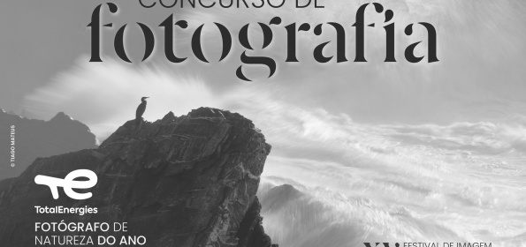 Insitu abre concurso “TotalEnergies – Fotógrafo de Natureza do Ano” com três novas categorias e prémios reforçados